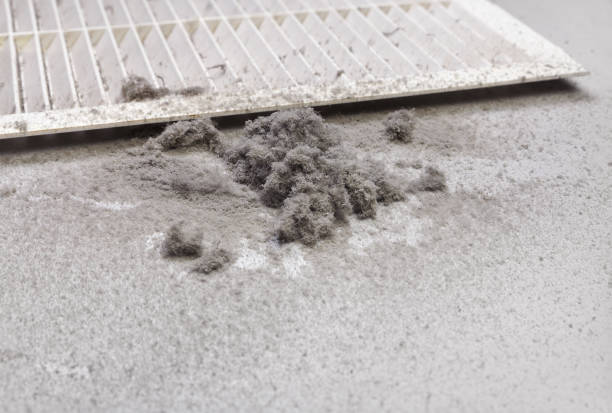 Best Air Duct Cleaning Near Me  in Kraemer, LA