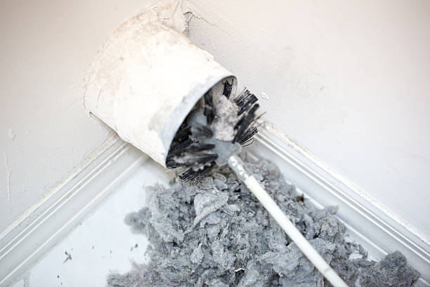 Best Affordable Duct Cleaning Services  in Kraemer, LA